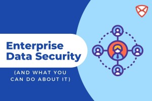 Enterprise-Data-Security